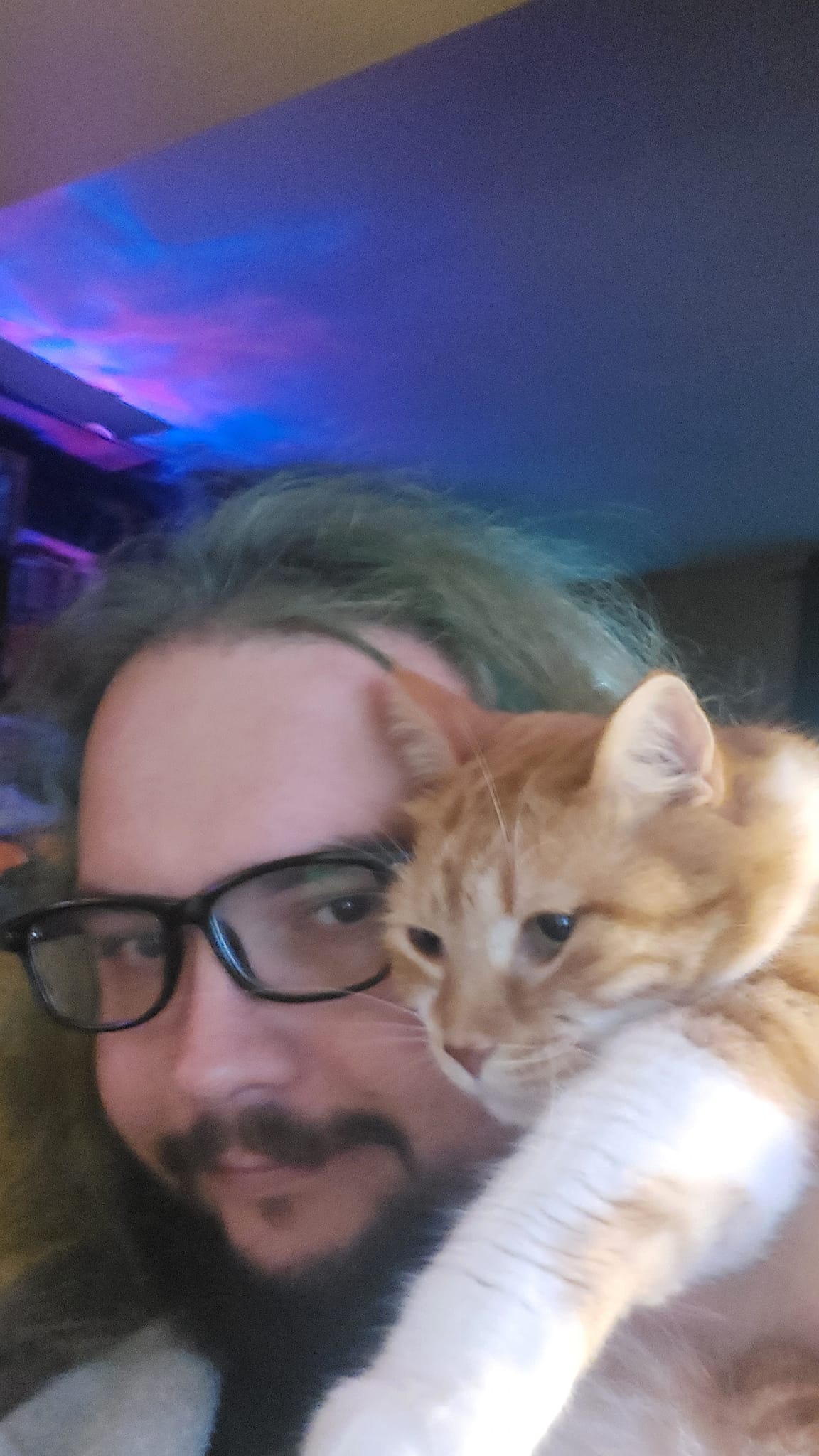 A man with green hair and a beard sits in a computer chair and holds an orange cat at eye level, Photo 2